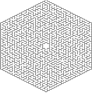 A six-sided maze, with the entry point at the top and the finishing point in the center