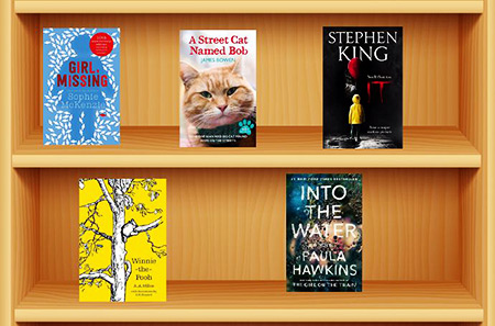 Graphic shows bookshelf with 5 books shown on the two visible shelves; their front covers face the audience