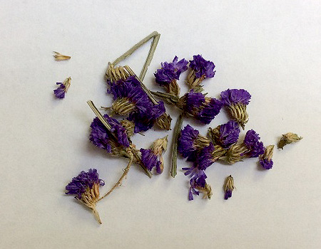 Graphic depicts dried dark purple flowers with greenish-yellow-brown stems, most of which are cut short